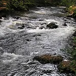 Landgasthof Euler 3*